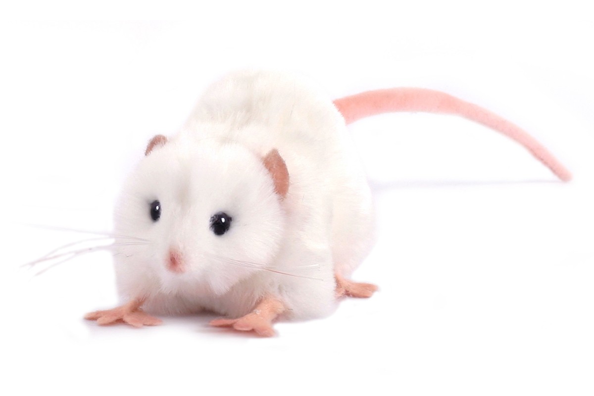 Мягкая игрушка Hansa Крыса 12 см - фото 1