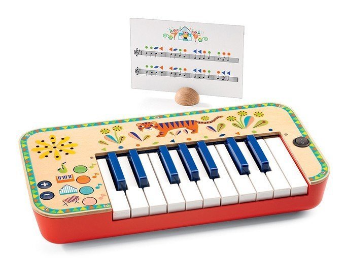 Синтезатор DJECO - фото 1