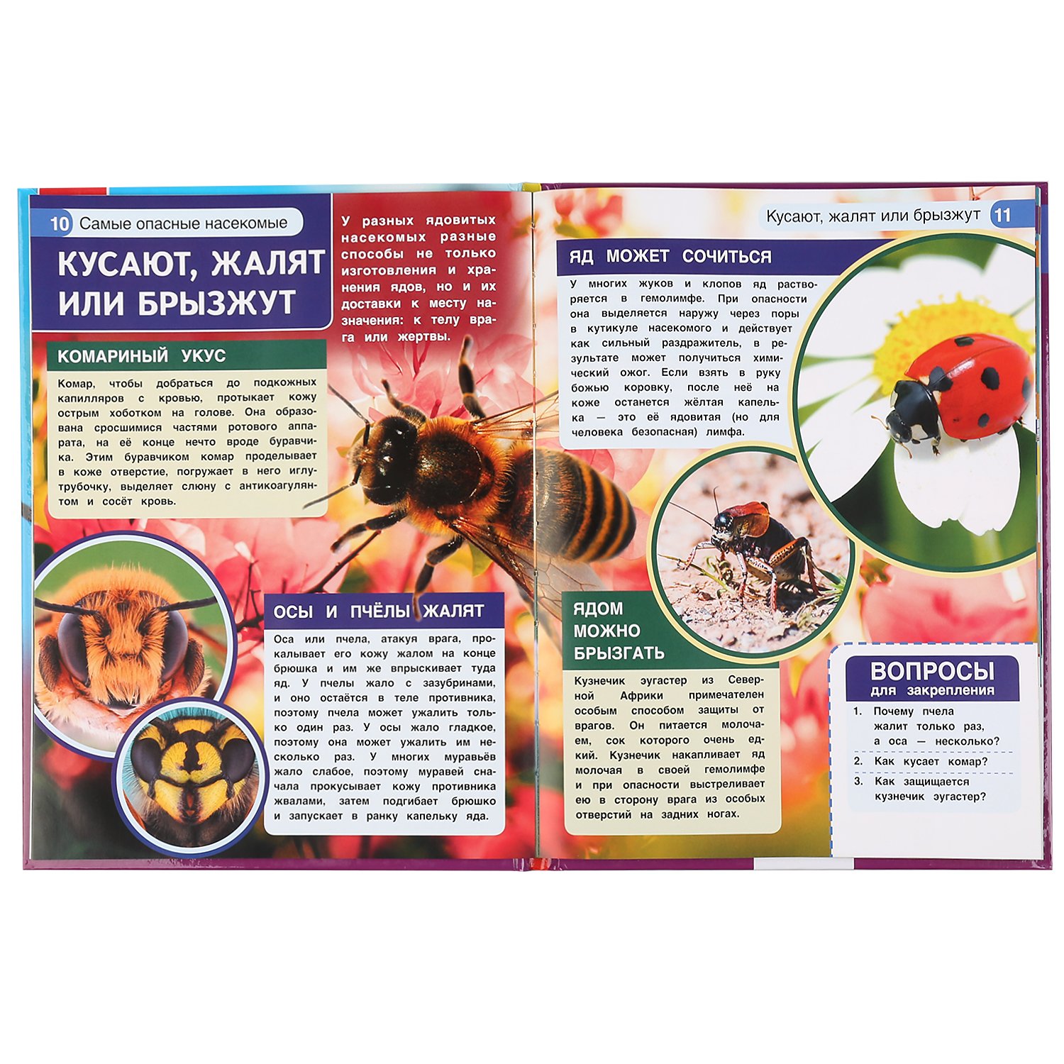Книга Самые опасные насекомые (энциклопедия) - миниатюра 2