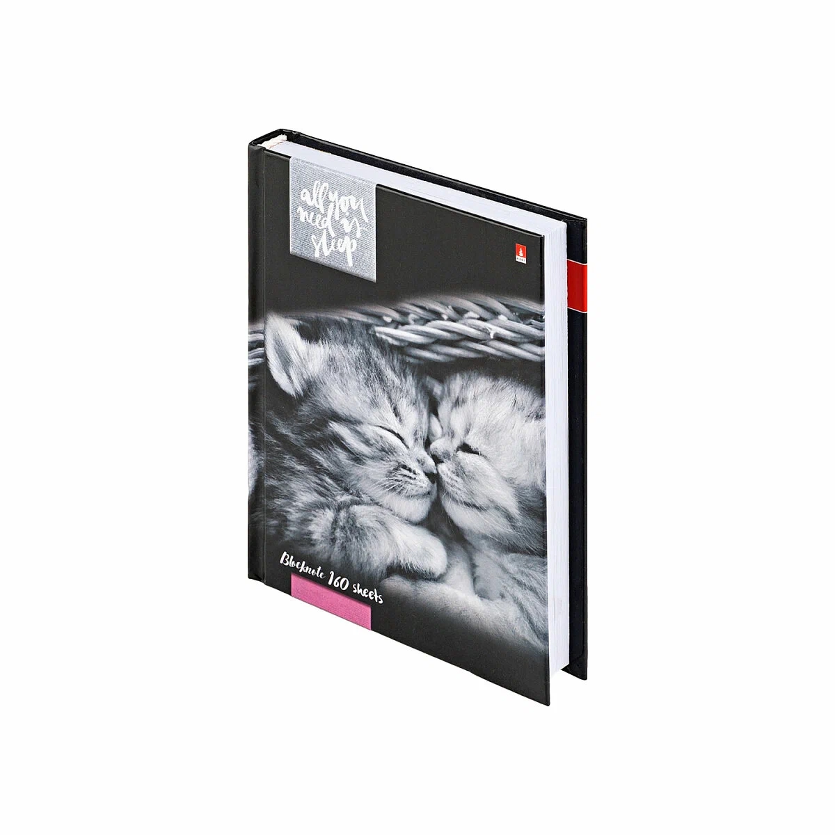 Блокнот А6 160л Котята Мур - мур Bruno Visconti - фото 1