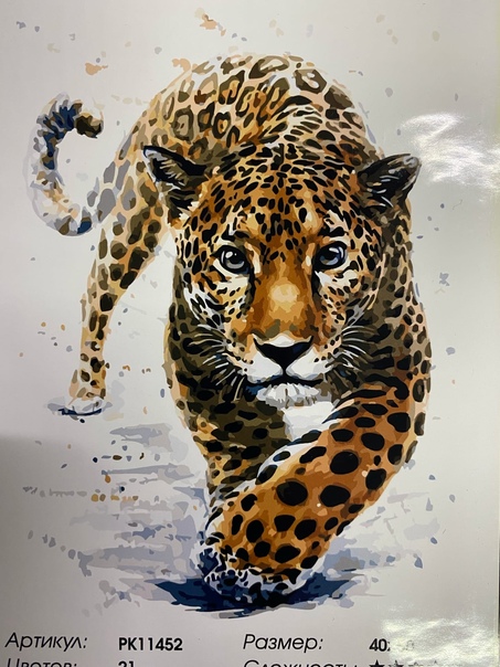 Картина по номерам 40*50 Поступь леопарда - фото 1