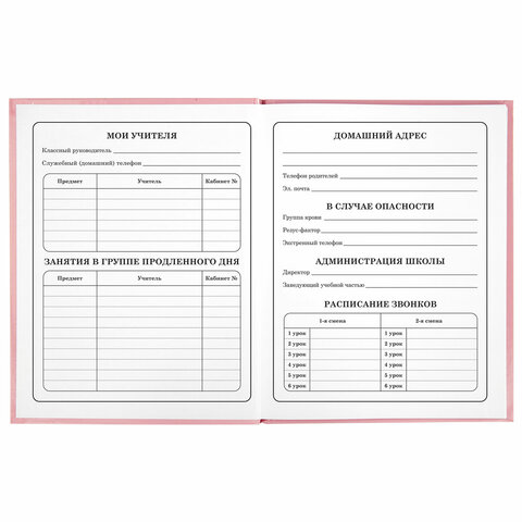 Дневник 1-4 класс Bunny Юнландия - миниатюра 6