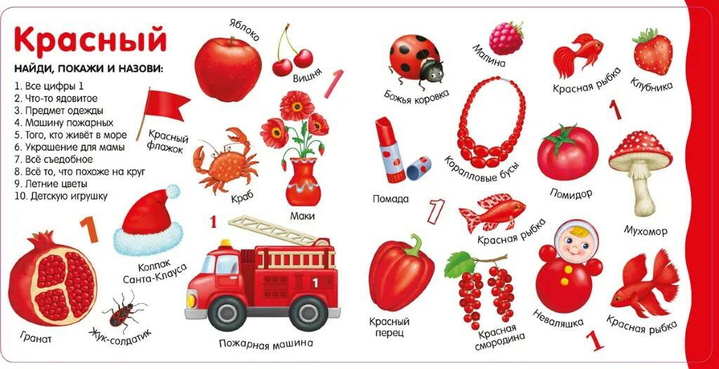 Книга Изучаем цвета слова цифры - фото 1