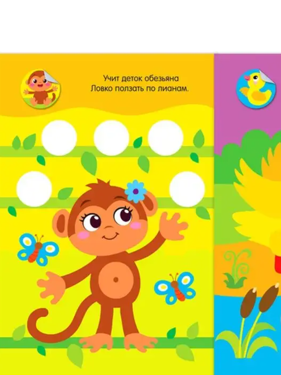 Альбом наклеек Познаем мир вокруг 6 видов - миниатюра 3