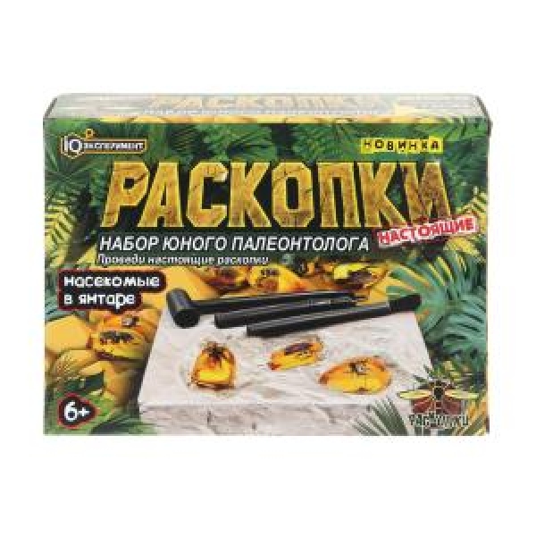 Раскопки IQ Эксперимент