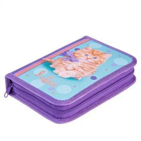 Пенал 1 отд. с 2 откидн. планками Рыжий котик - фото 1