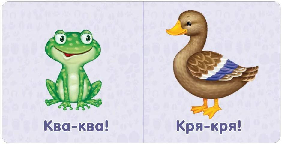 Книга - картонки Животные - миниатюра 3