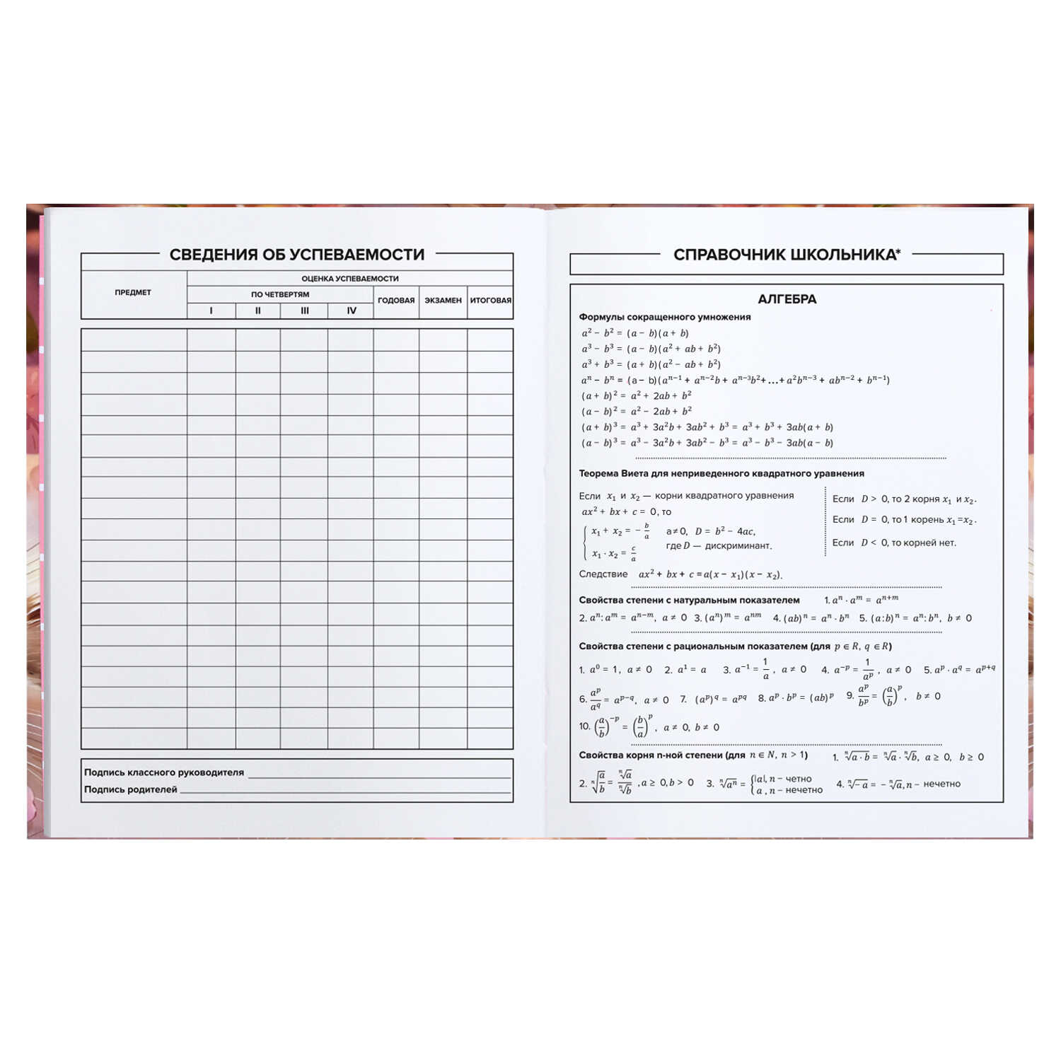 Дневник 5-11 класс Лучезарный кот Феникс - миниатюра 3