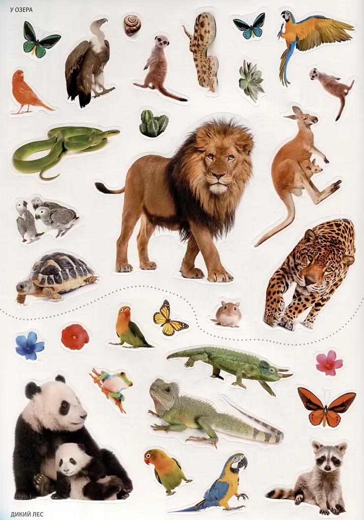 Книга с наклейками 230 наклеек Фотонаклейки. В зоопарке Робинс - миниатюра 2