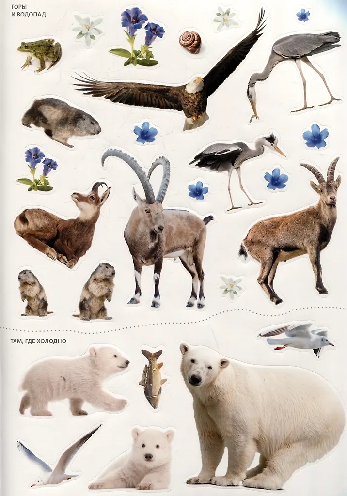 Книга с наклейками 230 наклеек Фотонаклейки. В зоопарке Робинс - миниатюра 3