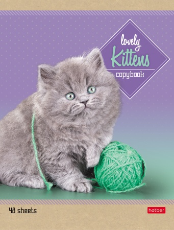 Тетрадь 48л. линейка Котята - фото 1