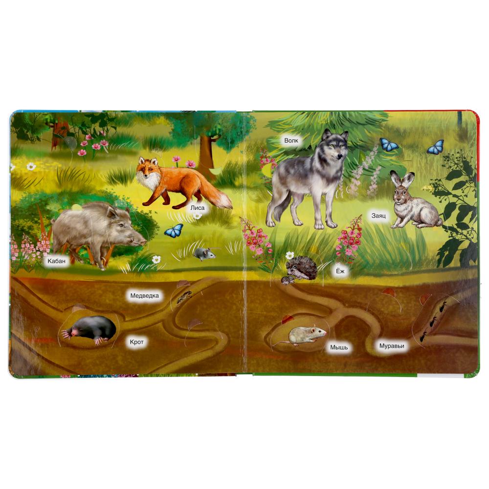 Книга 100 окошек для малышей Кто где живет? - миниатюра 2