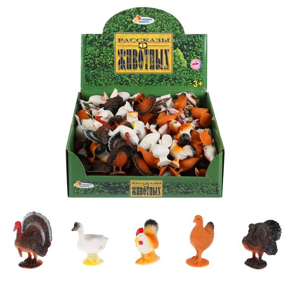 Домашняя птица в дисплее - фото 1