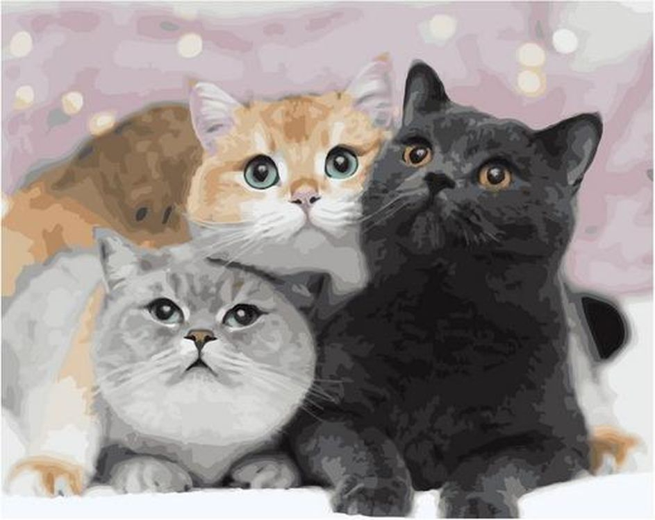 Картина по номерам 40*50 Три счастливых кота - фото 1