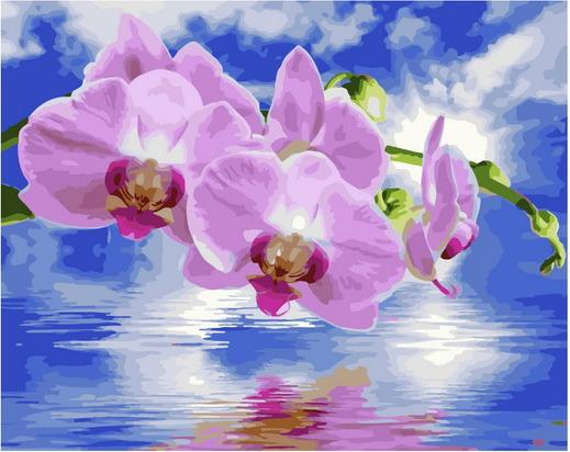 Картина по номерам 40*50 Розовые орхидеи - фото 1