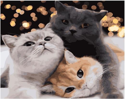 Картина по номерам 40*50 Кошачье братство - фото 1
