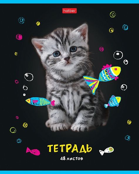 Тетрадь 48л. клетка МУРчат Коты Hatber - фото 1