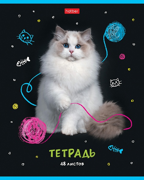 Тетрадь 48л. клетка МУРчат Коты Hatber - миниатюра 6