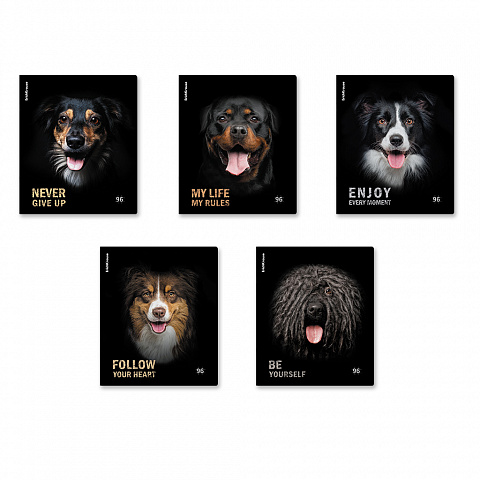 Тетрадь 96л. клетка Собаки ЕК - фото 1