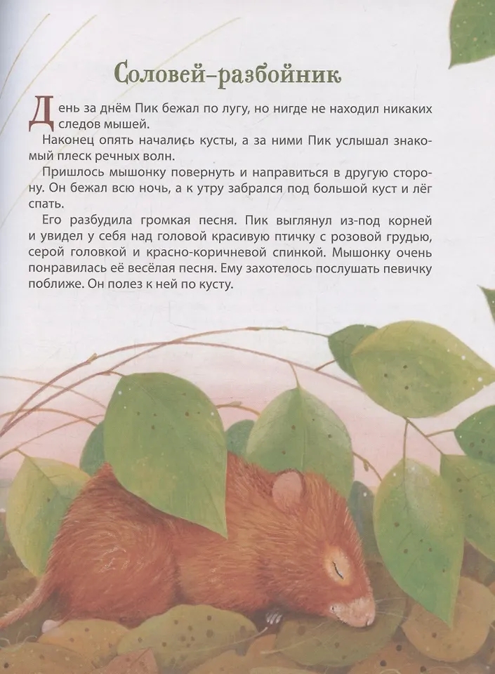 Книга Лесные истории. Сказки о животных Бианки В. - миниатюра 4