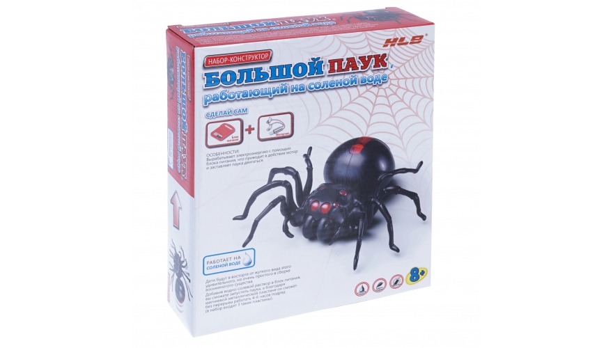 Опыт Паук на соленой воде - фото 1