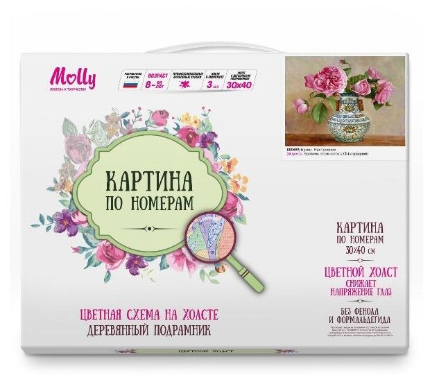 Картина по номерам 30*40 Бузин.Настроение - миниатюра 2