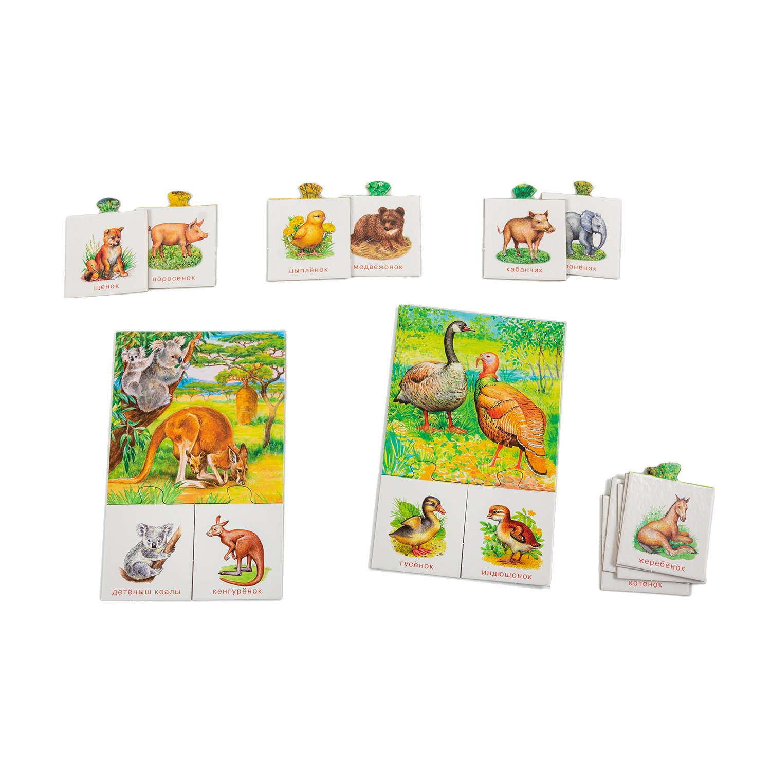 Настольная игра Кто чей малыш? 3-5лет - миниатюра 2