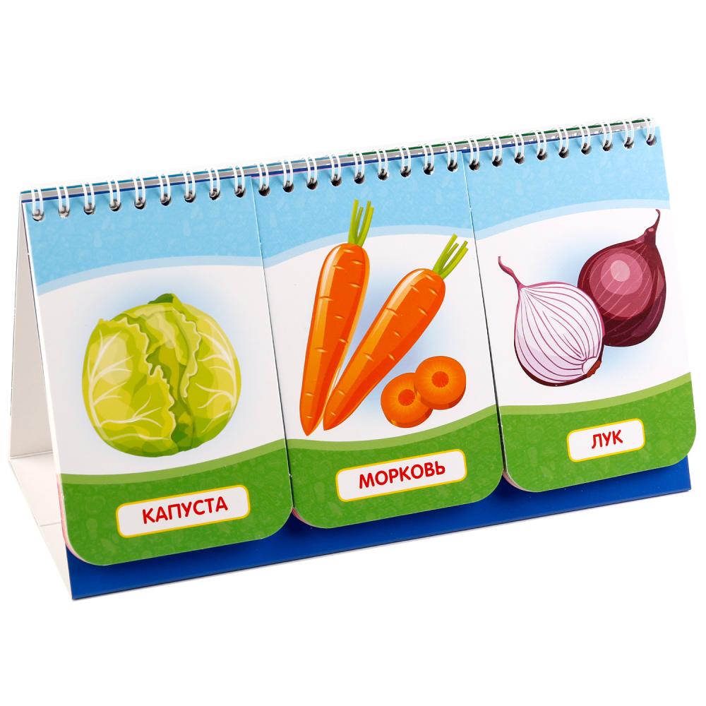 Развивающие карточки на пружинке Овощи и фрукты - миниатюра 2