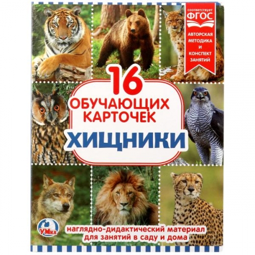 Развививающие карточки Хищники - фото 1