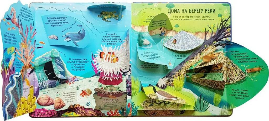 Книга Секреты животных - миниатюра 3