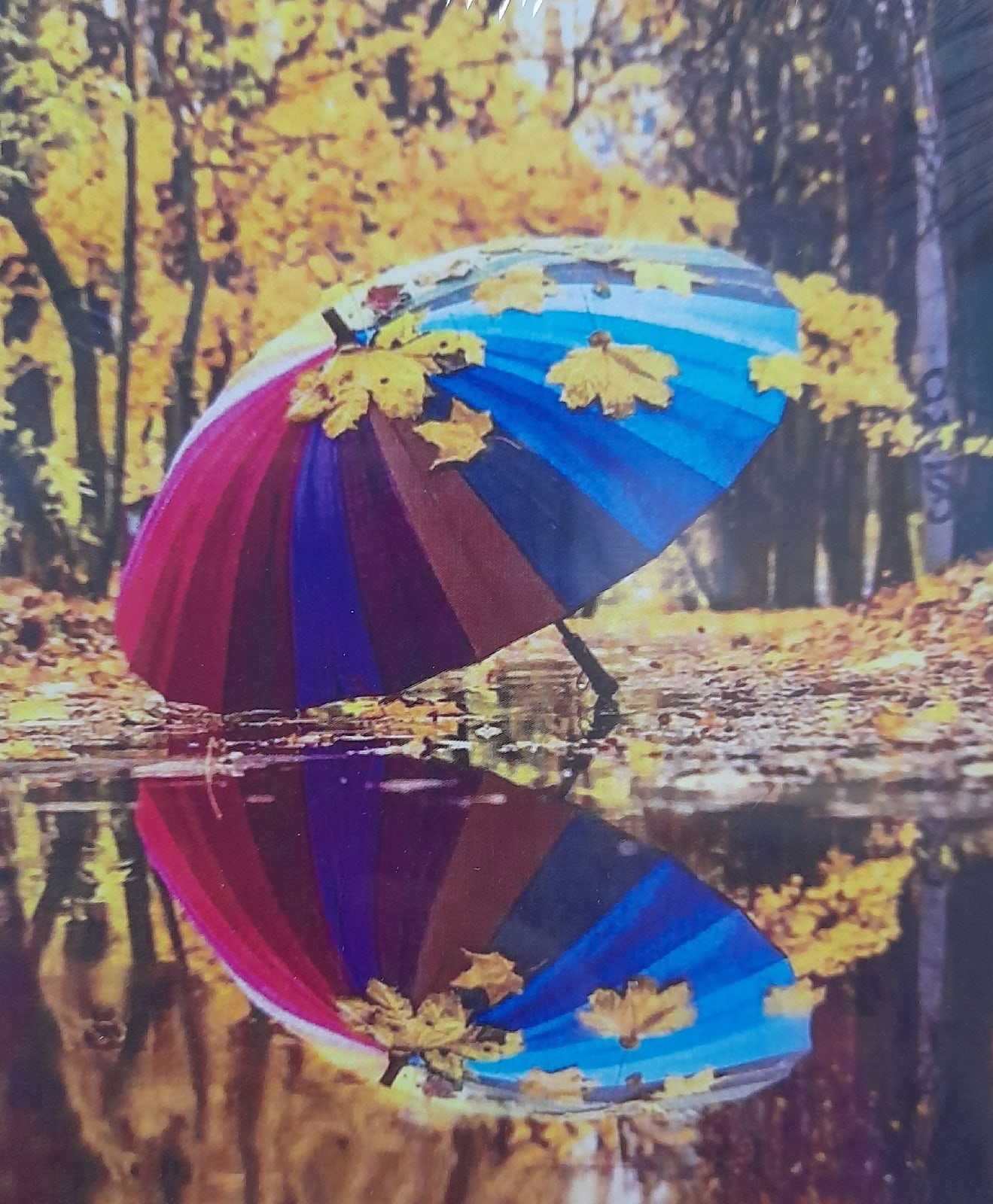 Картина стразами 40*50 Зонт - фото 1