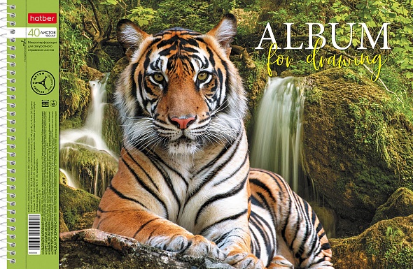 Альбом для рисования - миниатюра 4