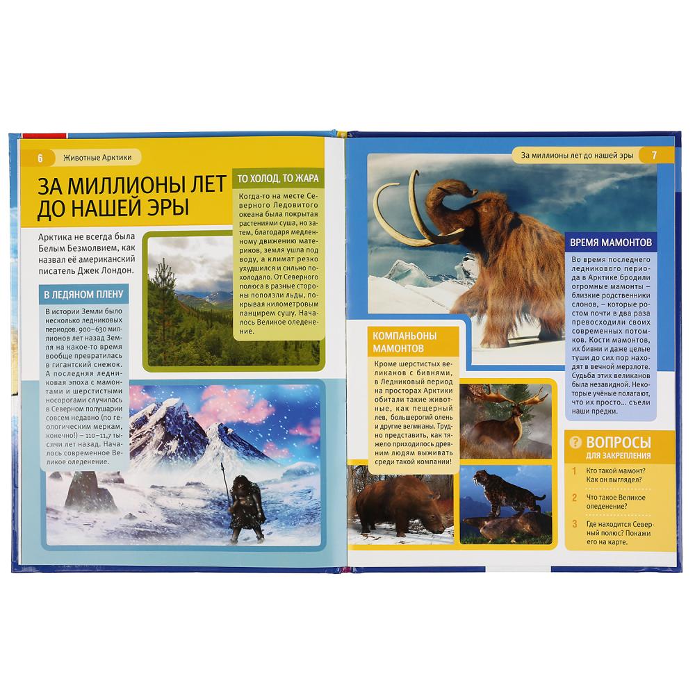 Книга Животные Арктики - фото 1
