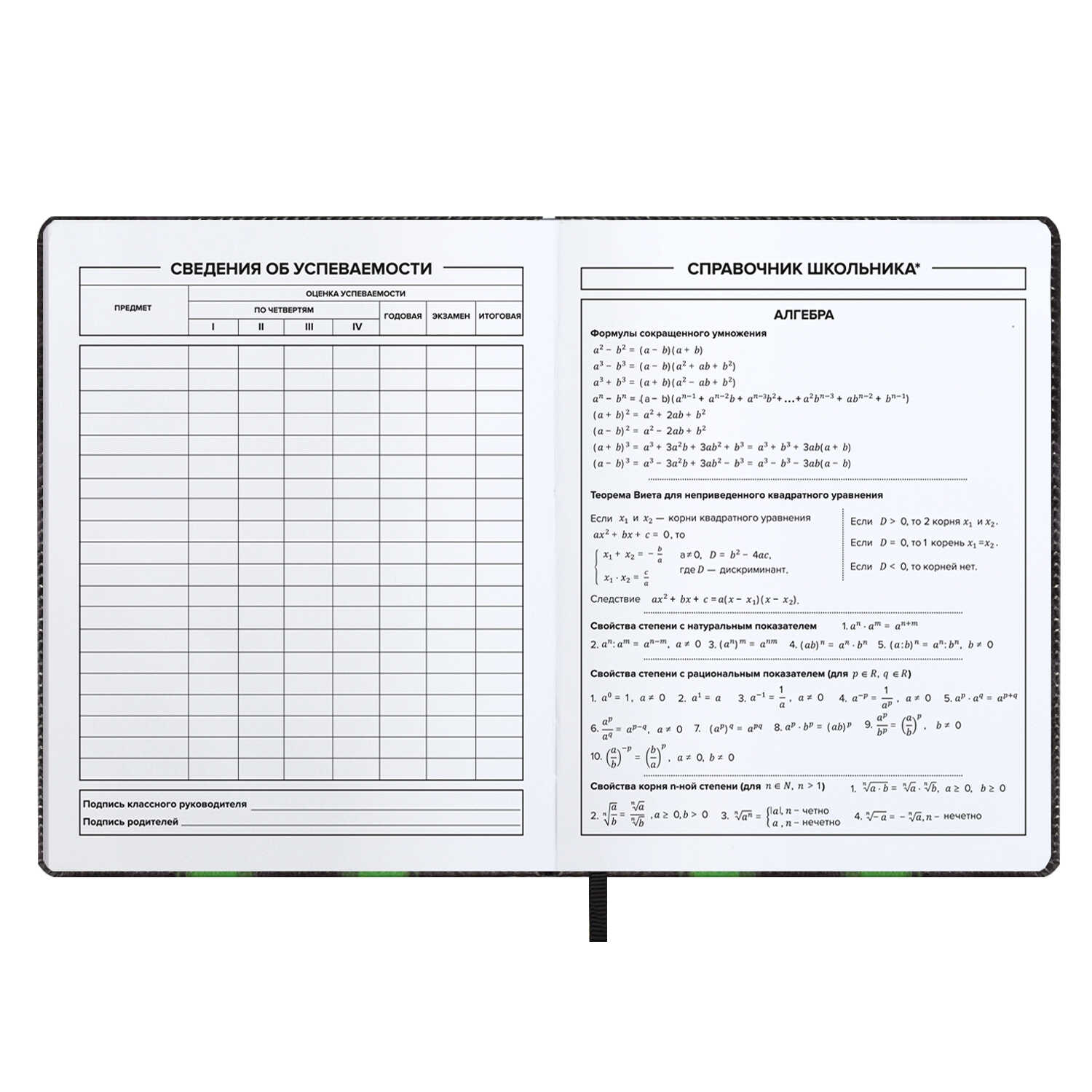 Дневник 5-11 класс кожзам Истребитель Феникс - фото 1