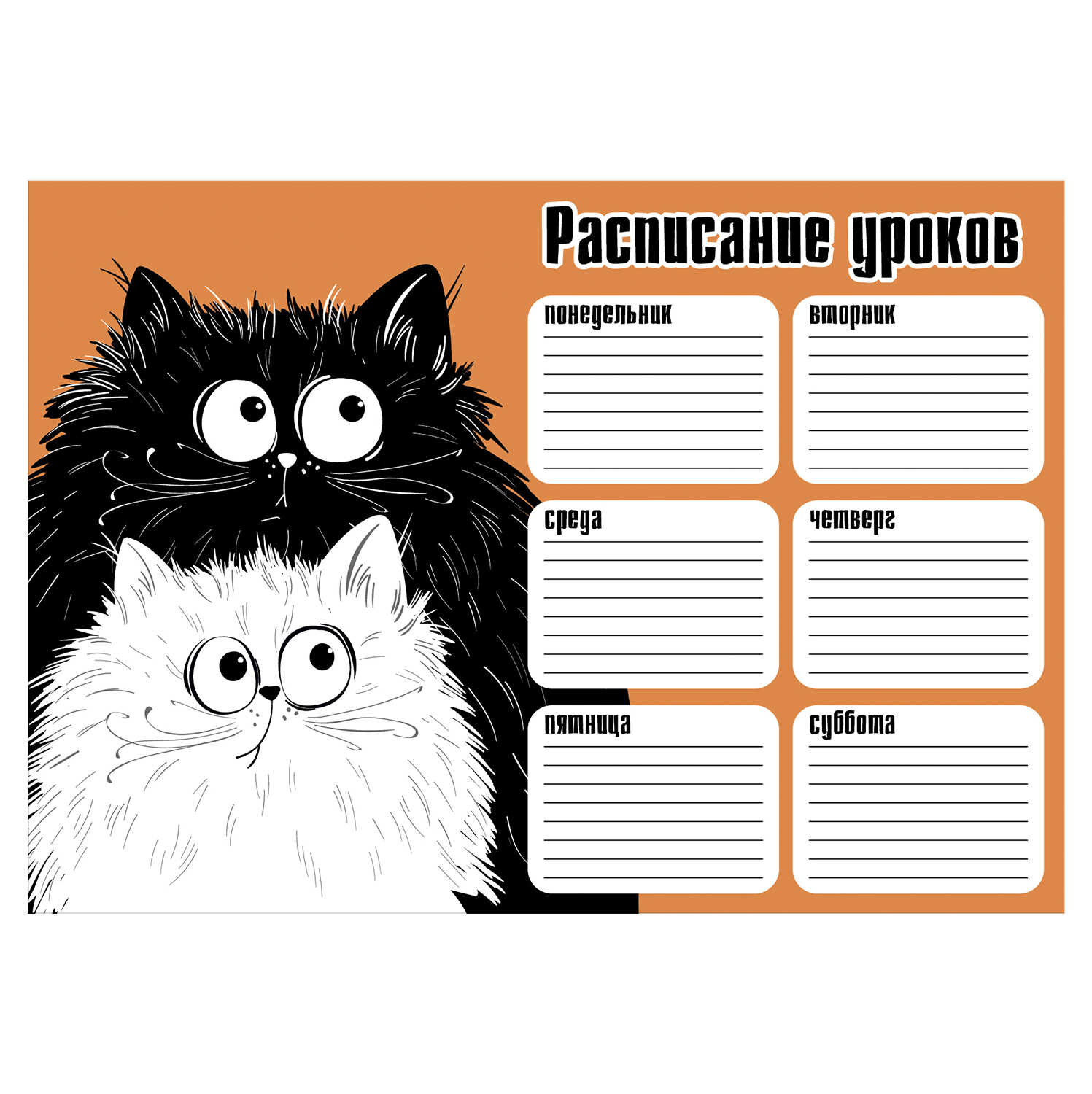 Расписание уроков А4 Пушистики - фото 1