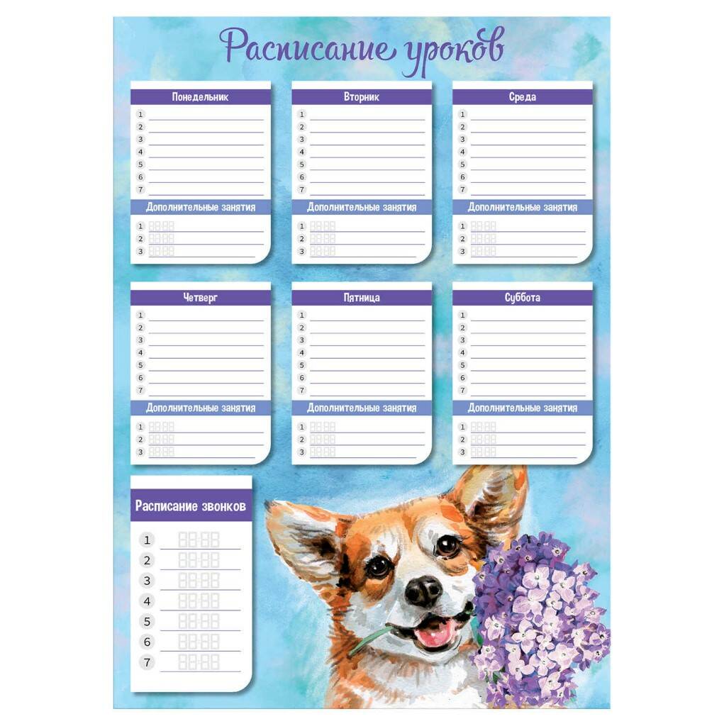 Расписание уроков А3 СОБАЧКА С СИРЕНЬЮ - фото 1