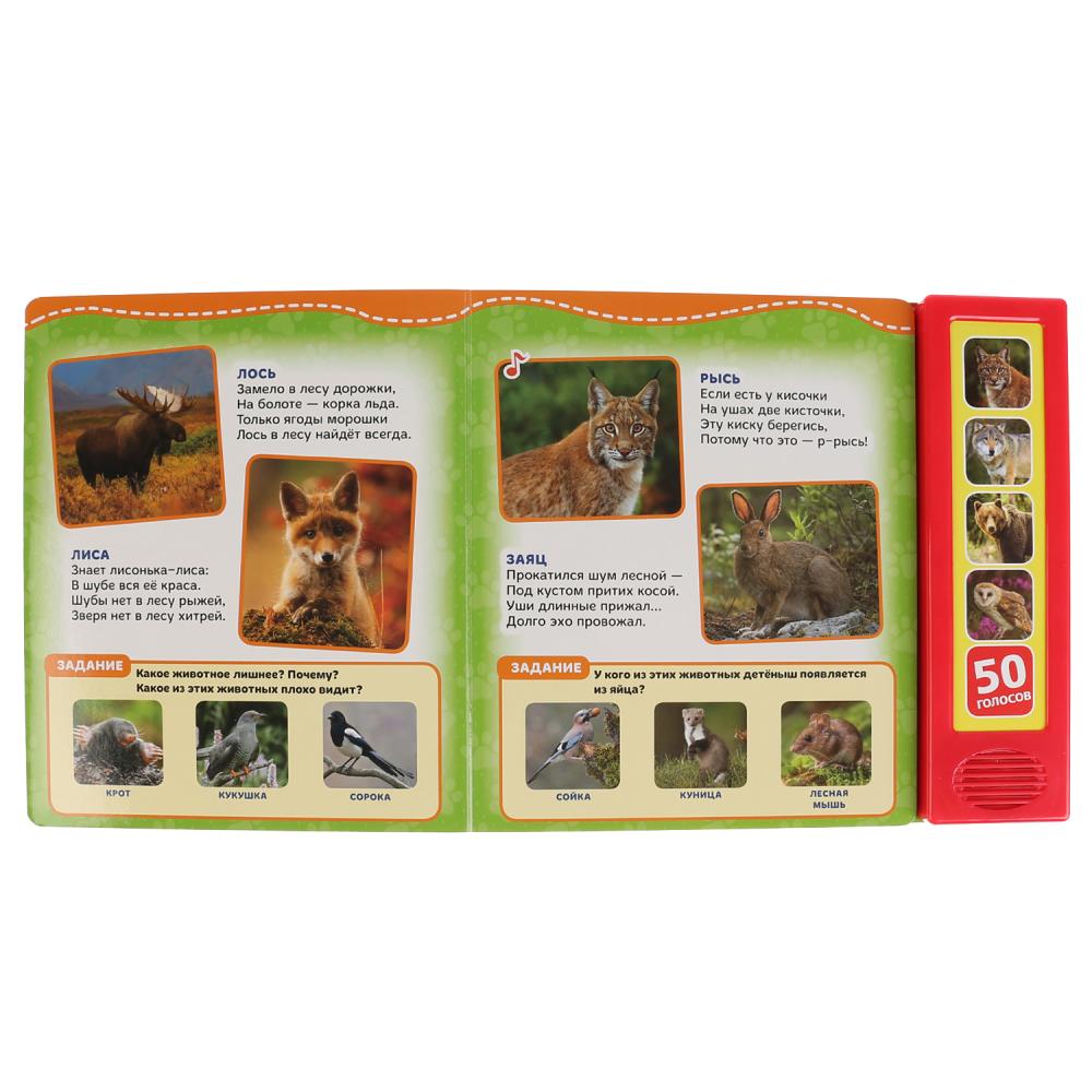 Книга музыкальная Лесные животные 5 кнопок 50 звуков Умка - миниатюра 2