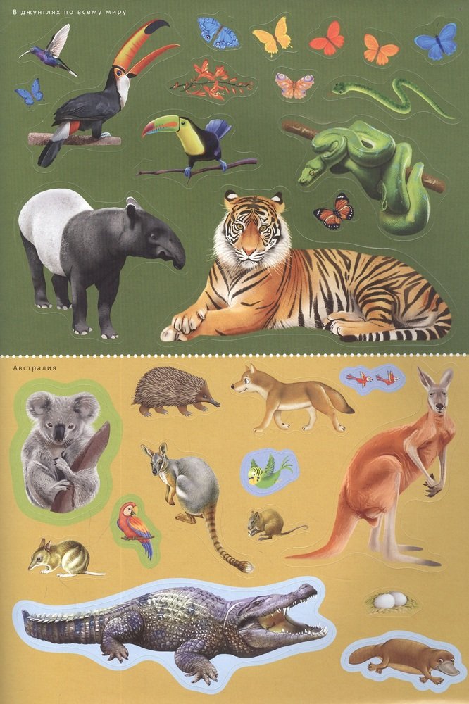 Книга с наклейками и заданиями 200 наклеек Мои первые животные Робинс - миниатюра 2