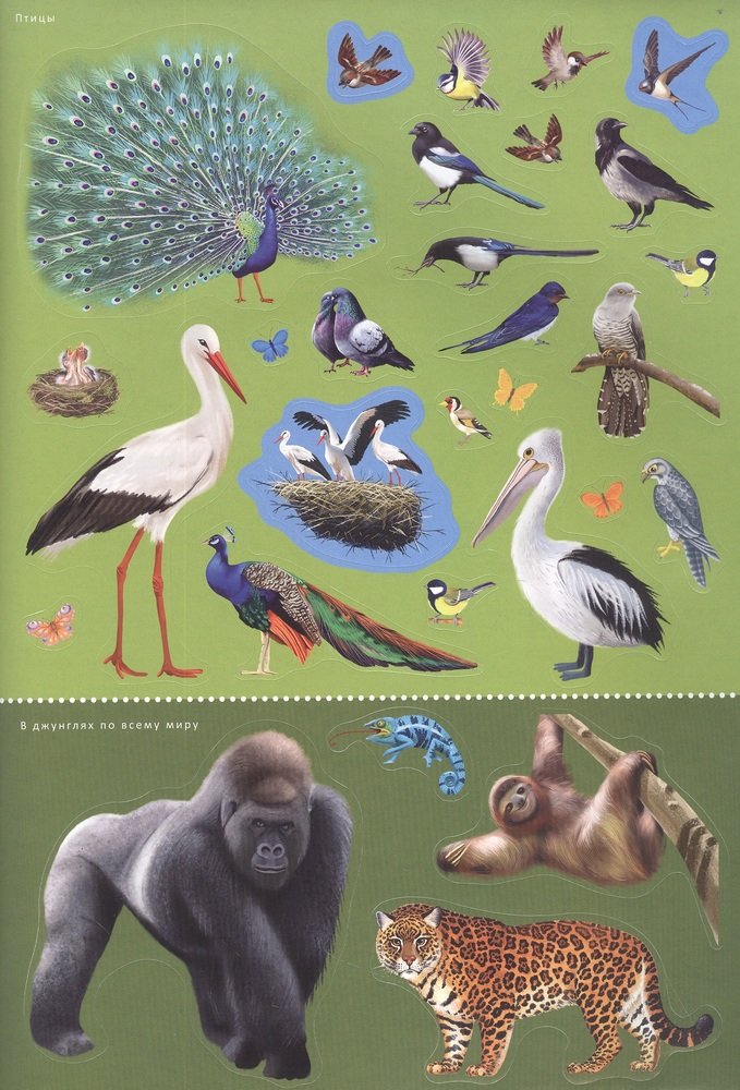 Книга с наклейками и заданиями 200 наклеек Мои первые животные Робинс - миниатюра 4