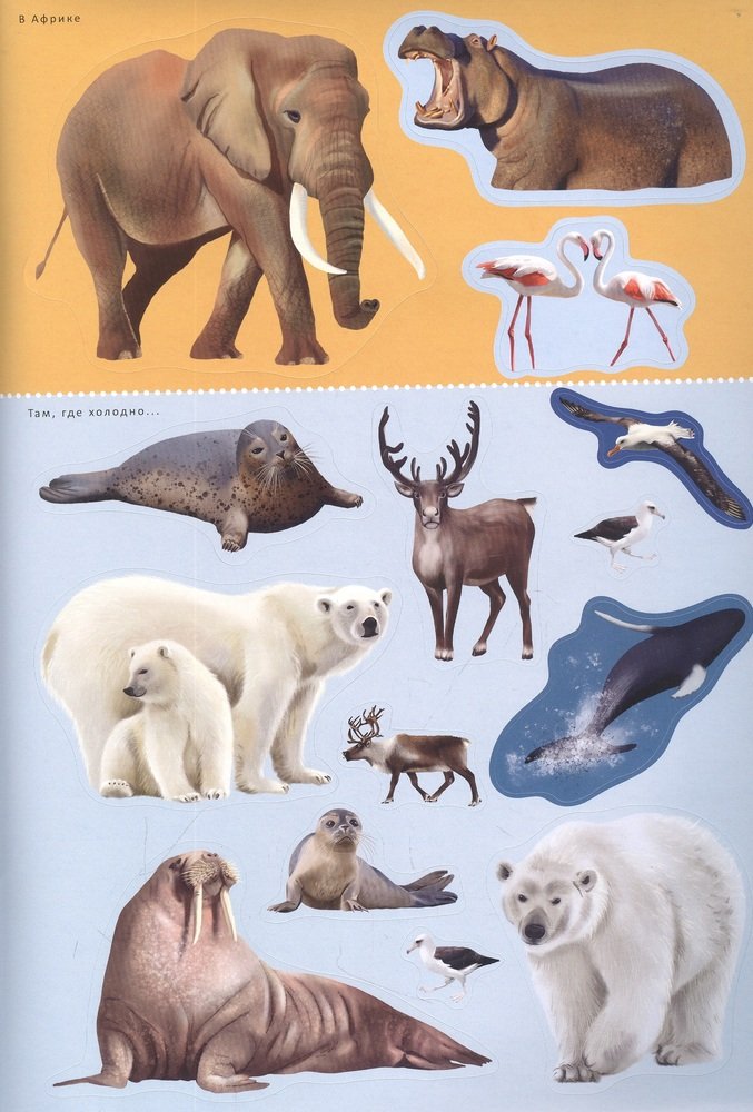 Книга с наклейками и заданиями 200 наклеек Мои первые животные Робинс - фото 1