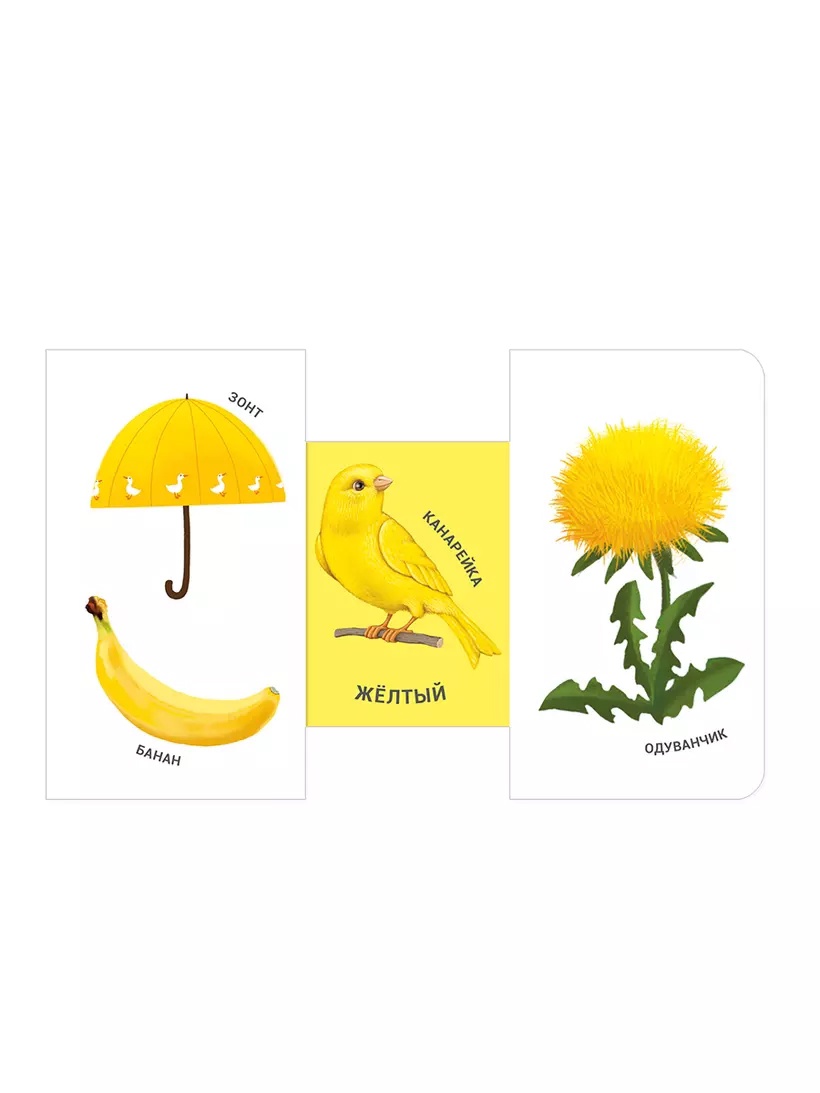 Книга - задвижки Какой это цвет? - фото 1