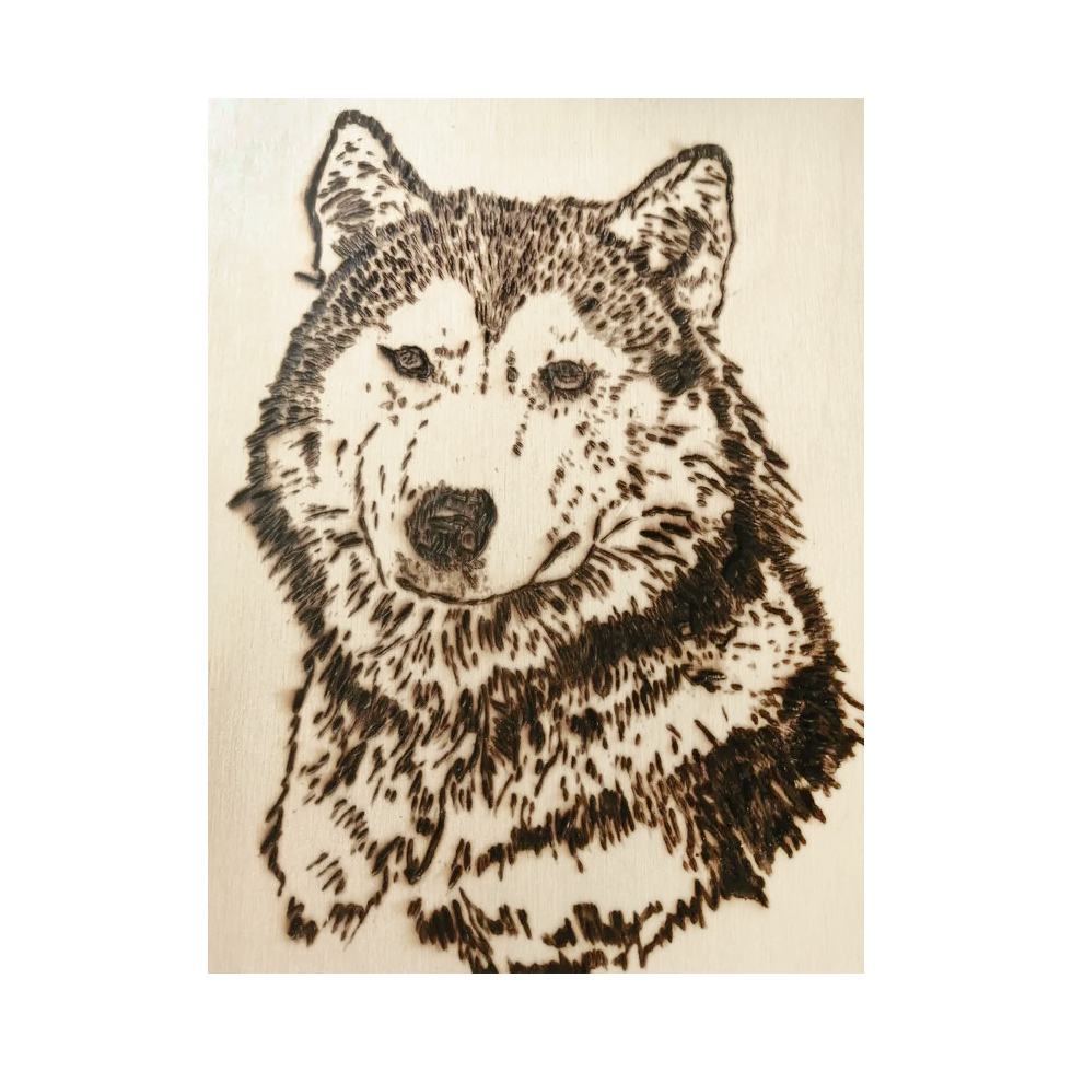 Доски для выжигания 10шт. мастер ДК - миниатюра 8