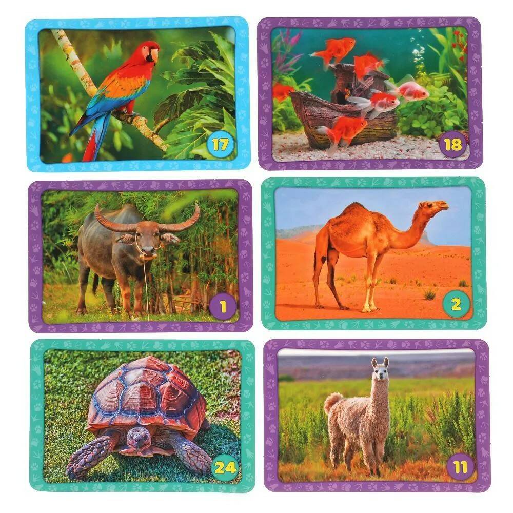 Настольная игра Мемо Домашние животные - миниатюра 2