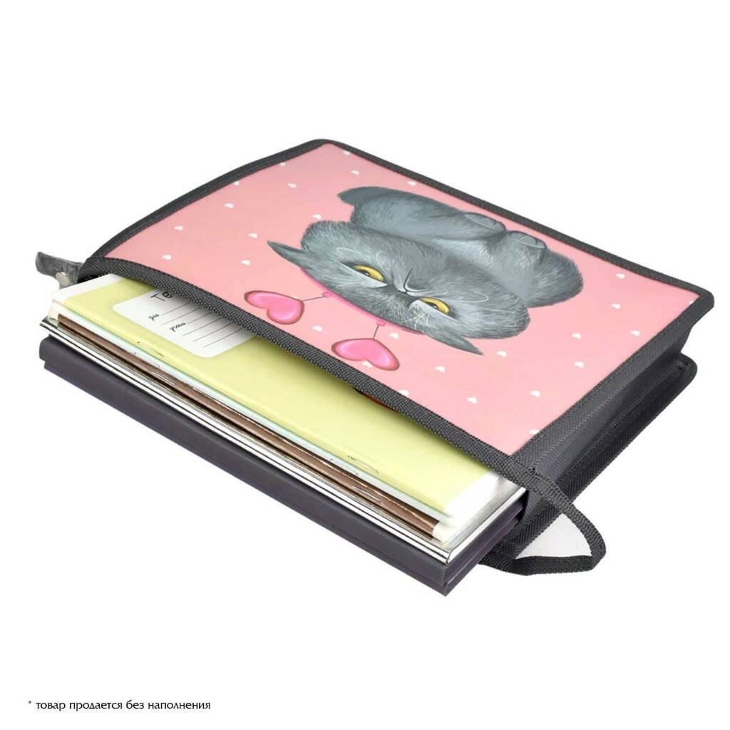 Папка для тетрадей МОДНЫЙ КОТ - фото 1