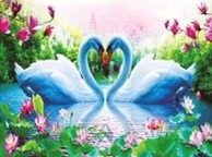 Картина стразами 30*40 Лебеди и цветы - фото 1