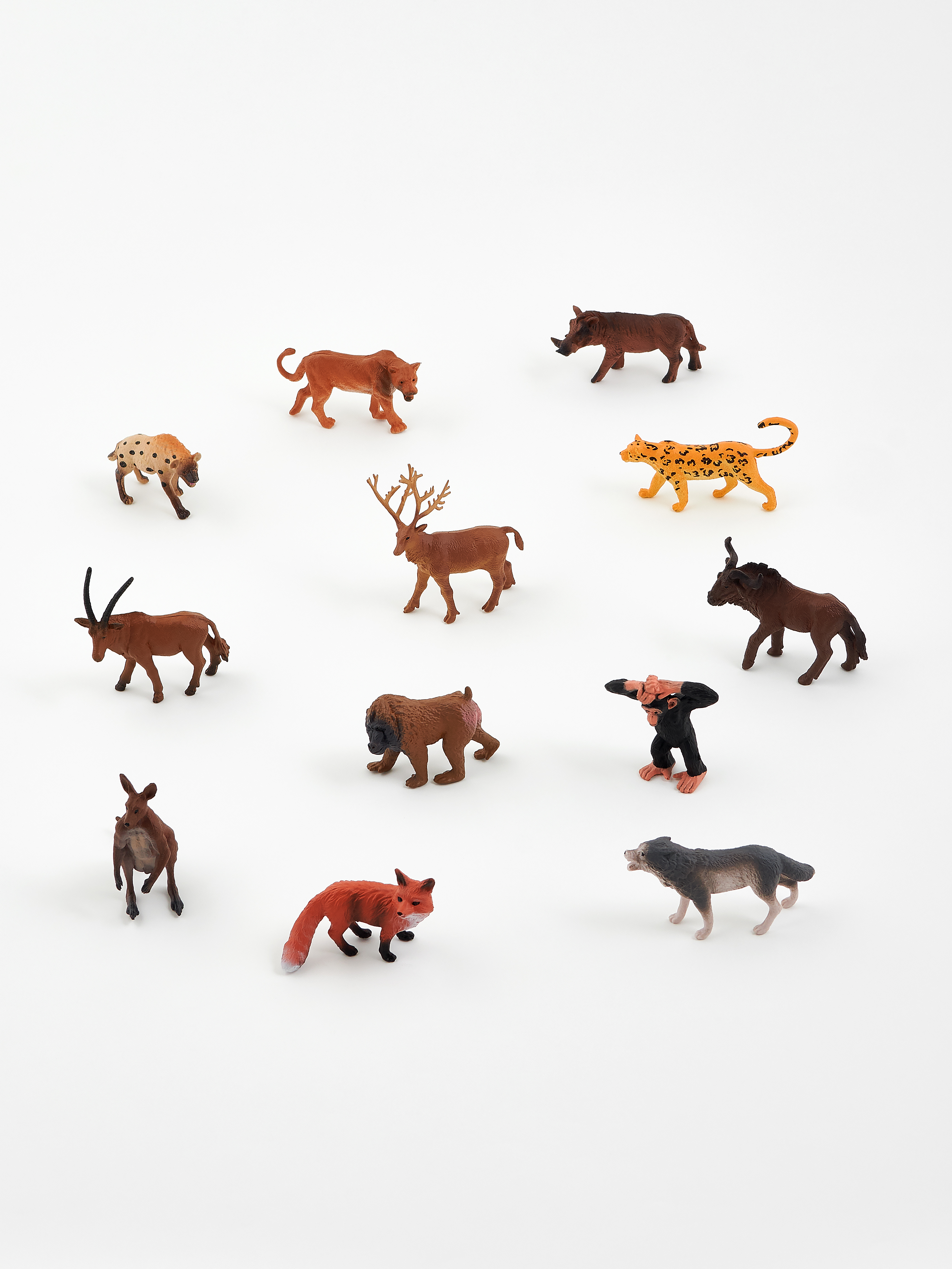 Животные набор Дикие 12шт с проектором - миниатюра 3