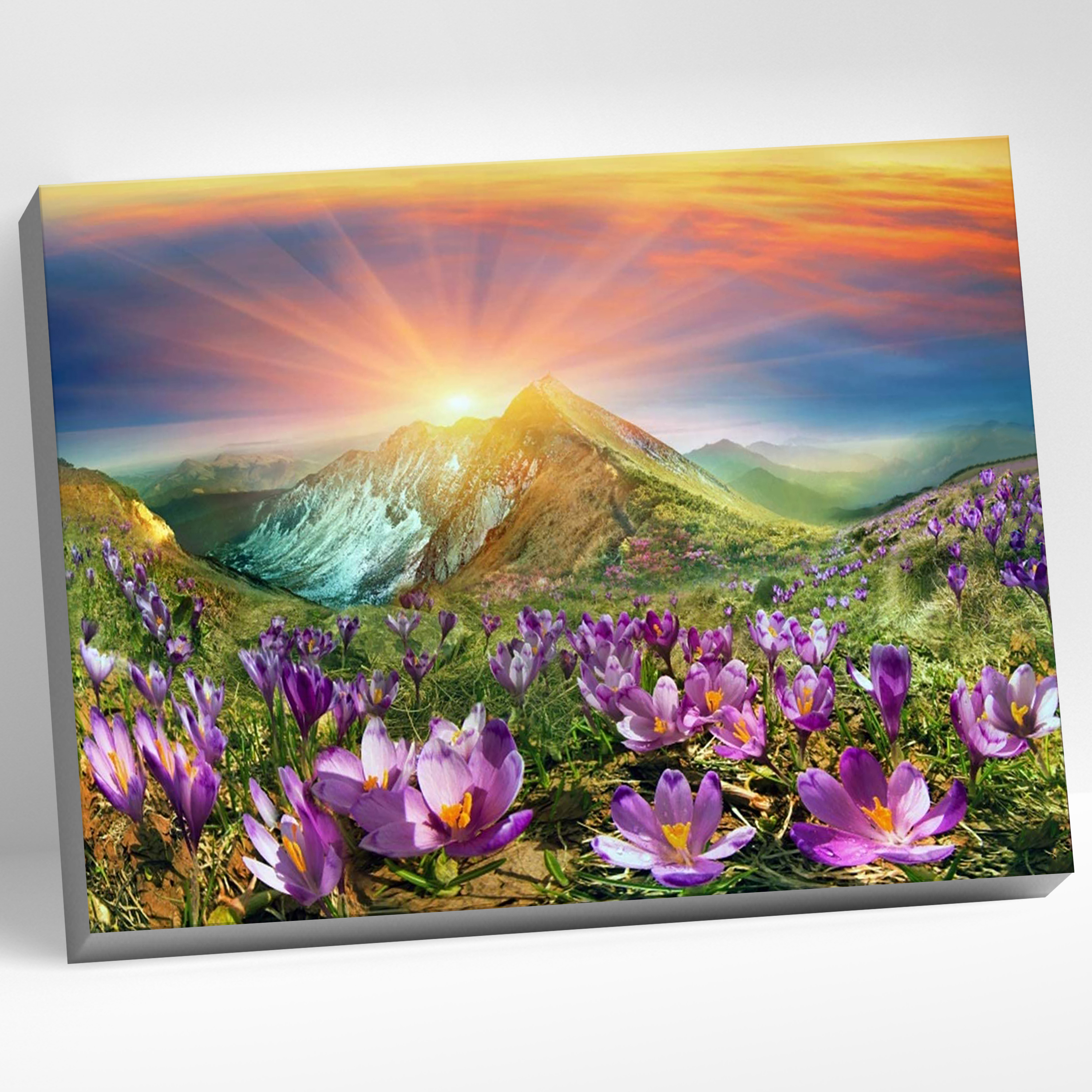 Картина по номерам 40*50 Восход Molly - фото 1