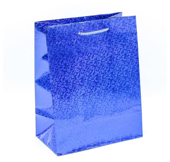 Пакет подар. голограф. 18*23 - фото 1