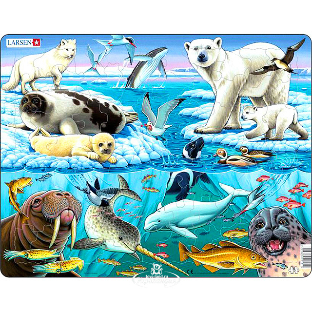 Пазл Арктика 75дет. LARSEN - миниатюра 2