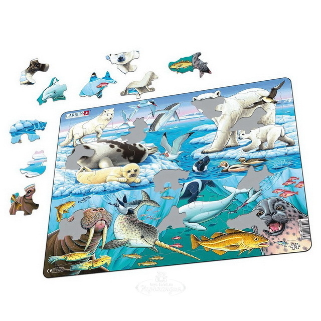 Пазл Арктика 75дет. LARSEN - миниатюра 3